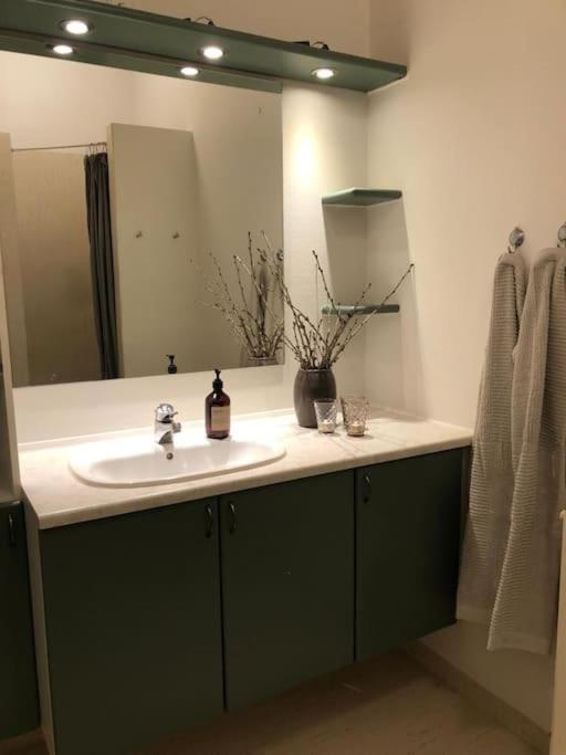 Apartament Assendrupgaard Vejle Zewnętrze zdjęcie